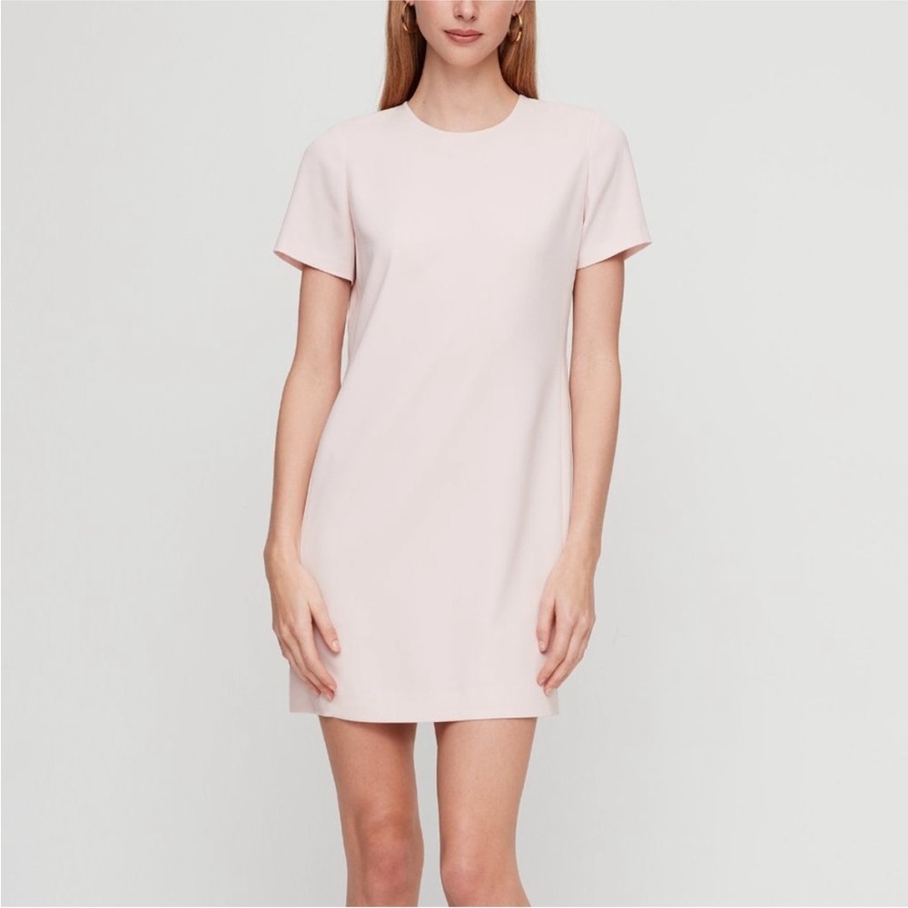 Aritzia Babaton dress